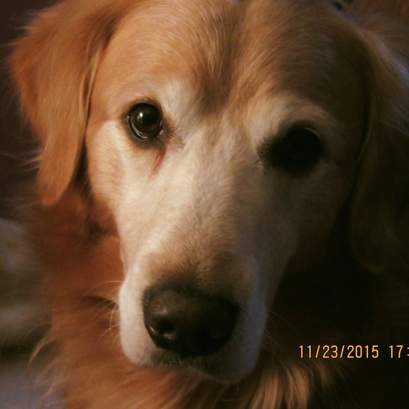 Meet your Posher, Nancy - Picture 1 of 1